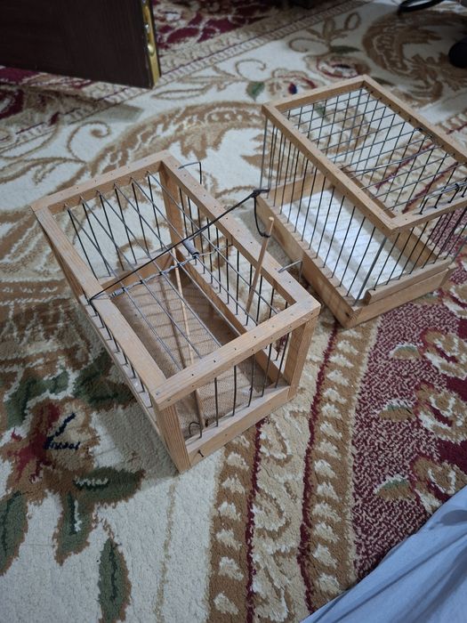 Переноска и ловушка