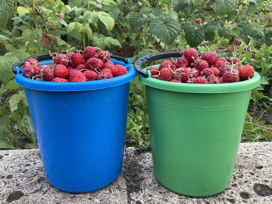 Дачный участок в черте города