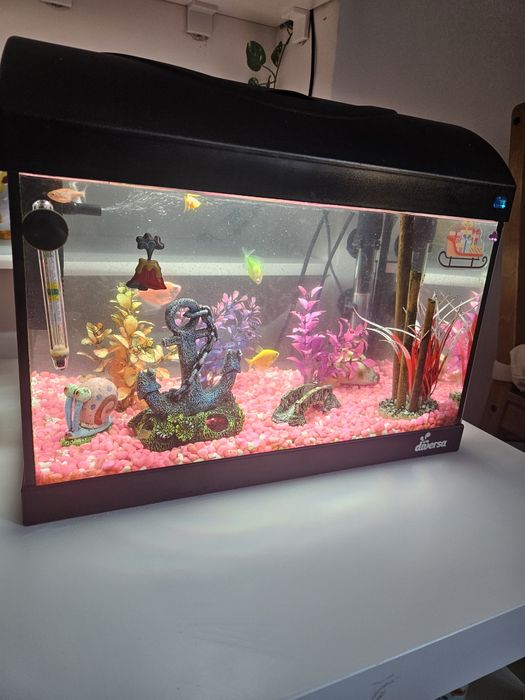 Acvariu pesti diversa startup 40 led
