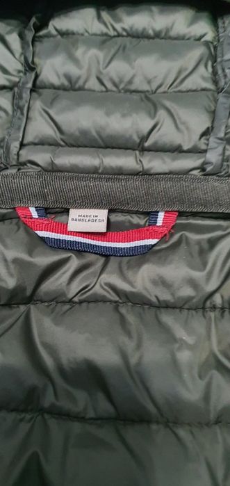 Geagă cu glugă, Napapijri