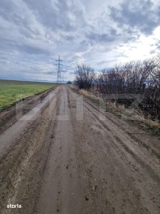 Teren de vanzare 1500 mp - intravilan Codlea - 30 euro mp