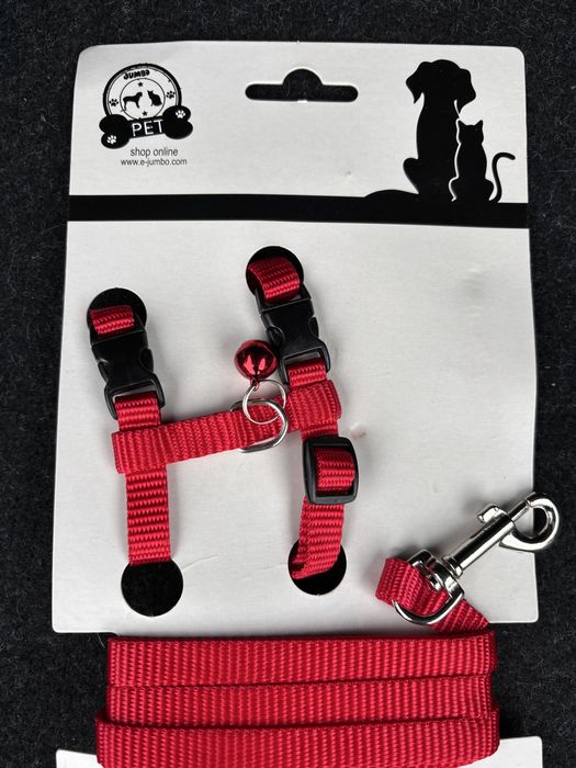 Zgarda si lesa catelusi di pisici