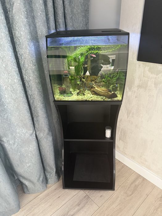 Acvariu Fluval si suport
