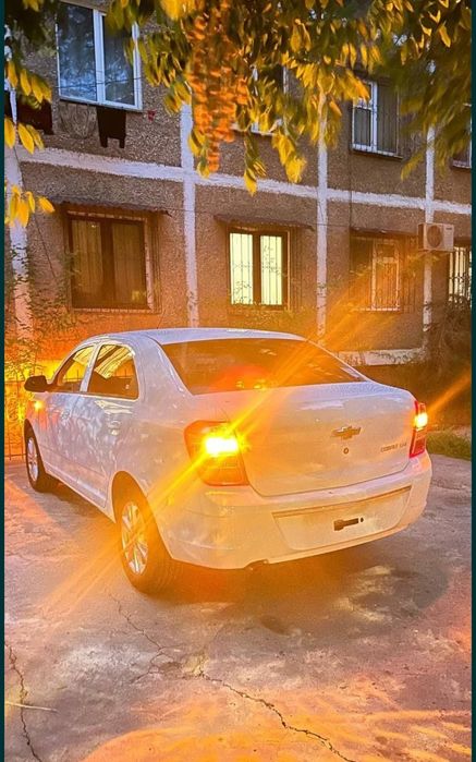 COBALT Ltz stayl 2025