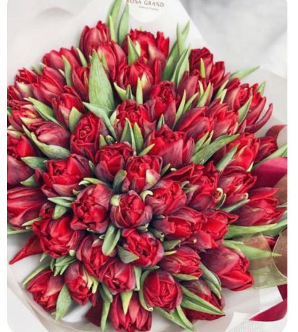 Живые тюльпаны для ваших любимых!