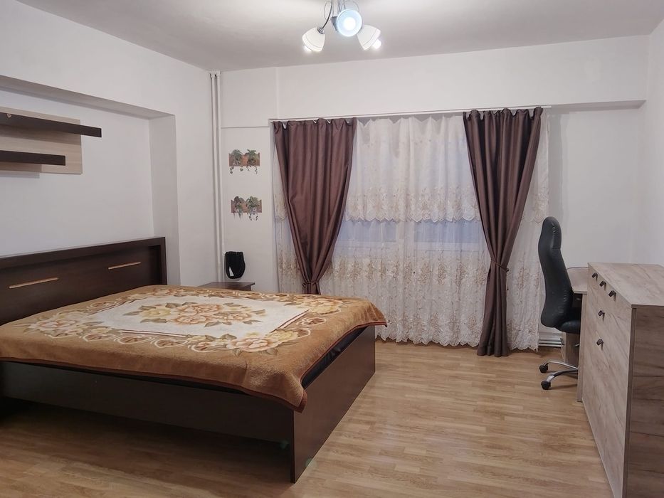 Persoană fizică Închiriez apartament 1 camera Nicolina Podu Roș