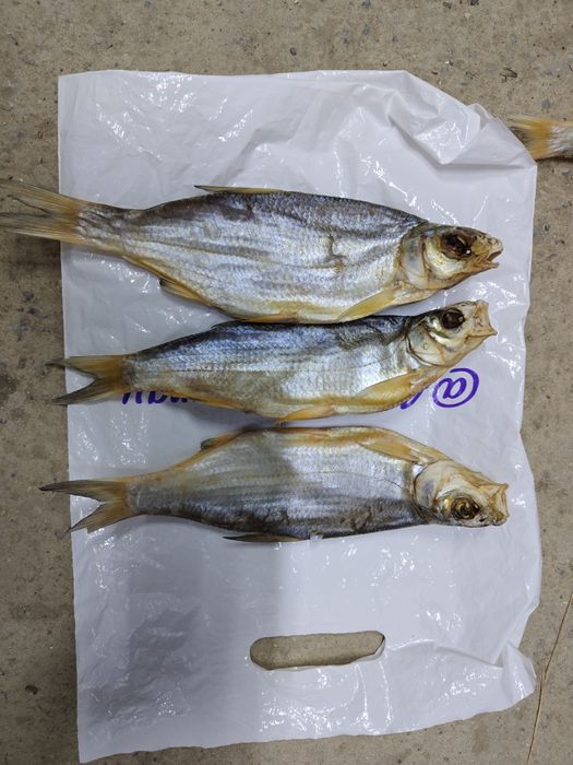 Вяленый рыбец сушеный