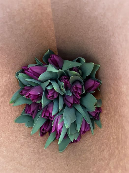 Тюльпаны оптом Шымкент