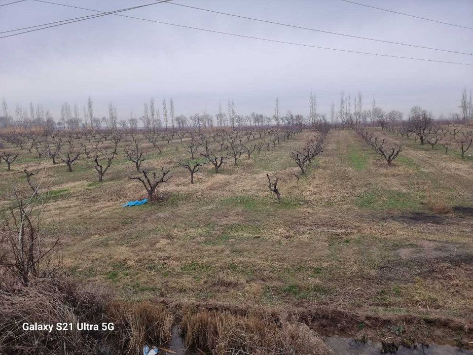 Продаётся Фирма, с Постройками и с Земельным участком - 7,8Га. Кибрай