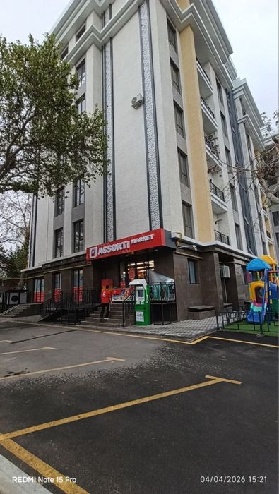 Каштан навастройка