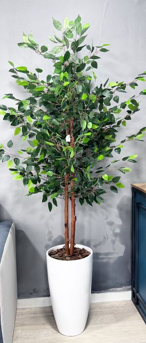 Суний гуллар ва драхтлар