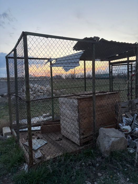 Продам для собак