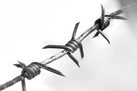 Колючая проволока