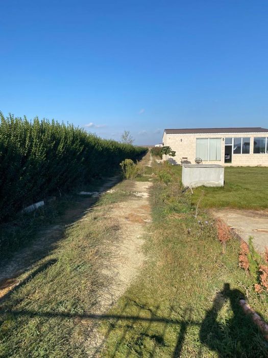 Дава се под наем Земеделски имот в к.к. Слънчев бряг -  кв.м за 765 € - Снимка #3