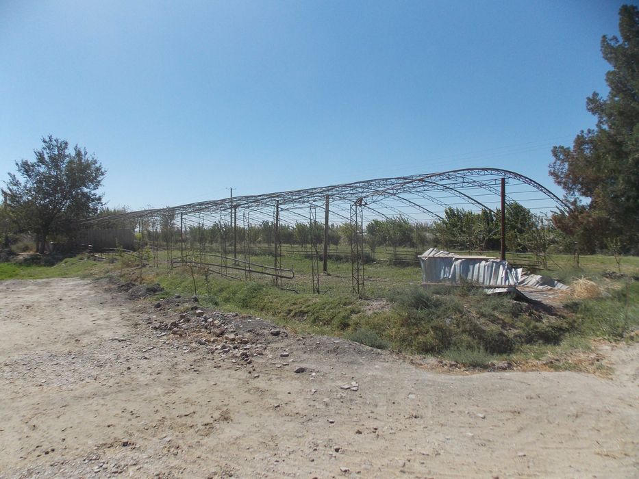 Ер сотилади. Когон тум,БАХОВУДДИН НАКШБАНД,Киракашхона кишлоги 50сотик