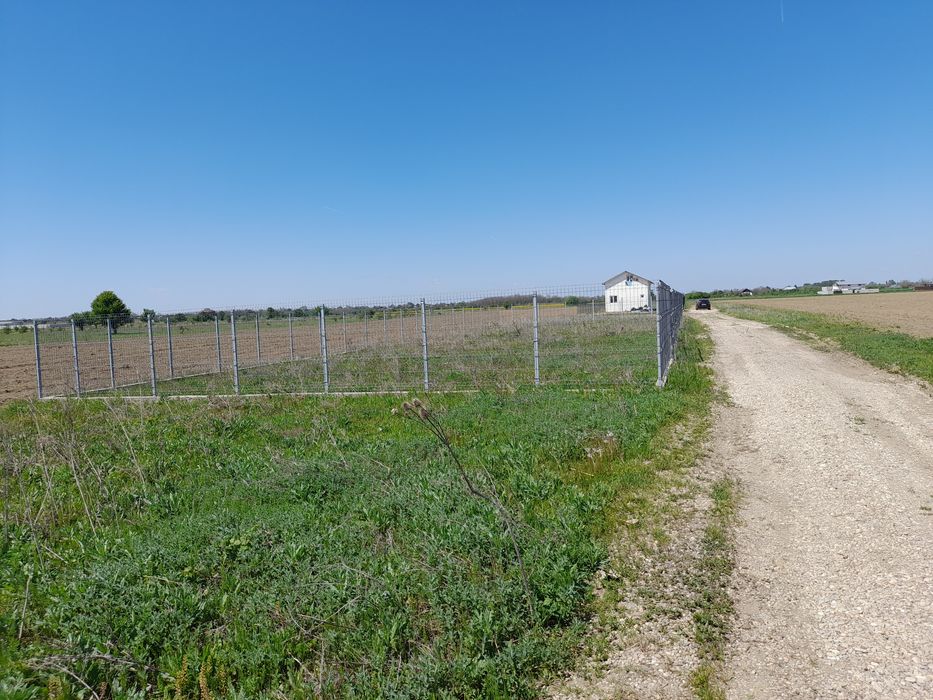 Snagov Siliștea 500mp