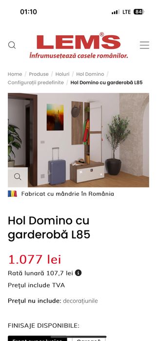 Cuier hol ,are si panou cu agatatori - Lem’s