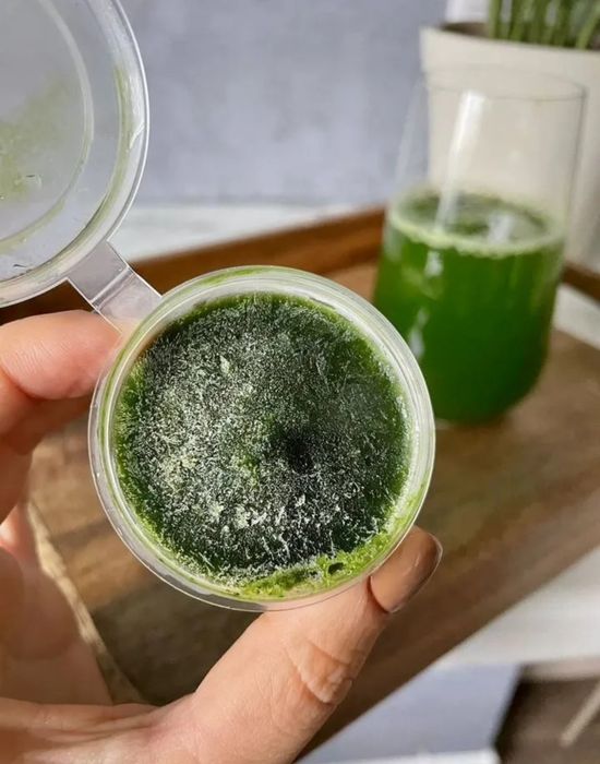 Витграсс. Всегда в наличии