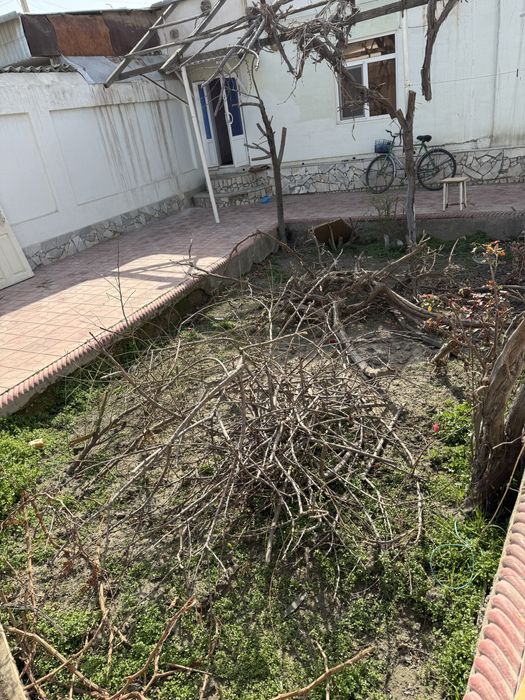 Отдам даром Бепул срочна