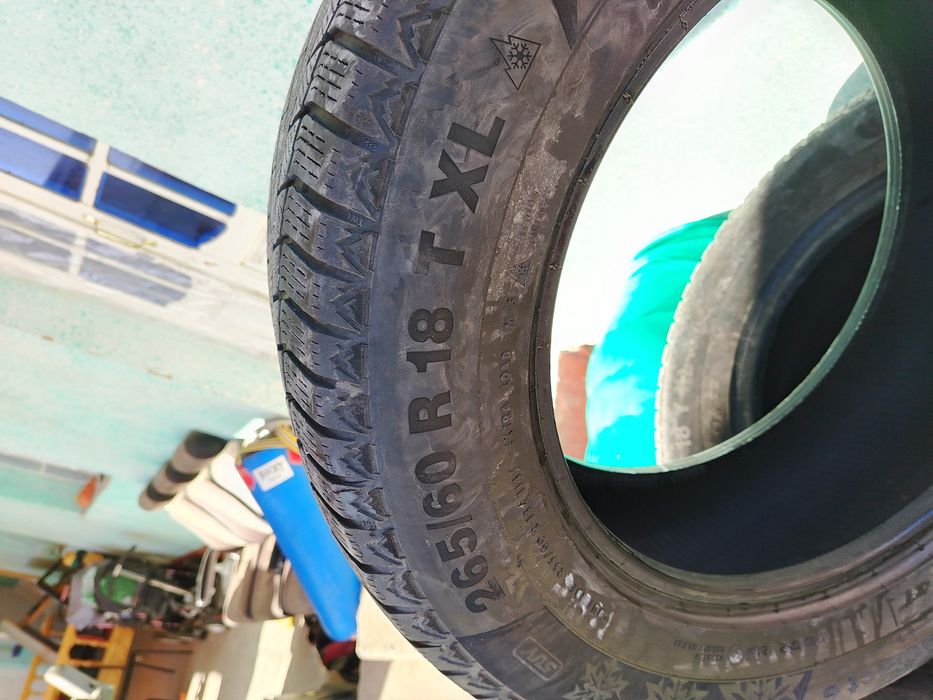 Шына всесизонка прадам