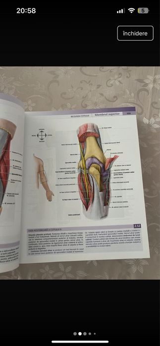 Atlas Grant Anatomie - NEFOLOSIT