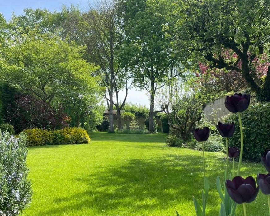 Поддръжка на дворове - Пловдив и региона