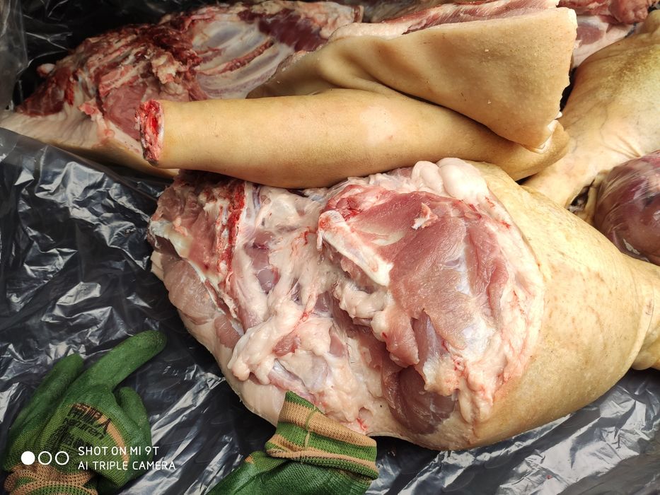 Продам мясо свинины по 1750