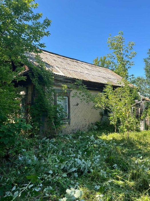 Продам дом в селе Быструха