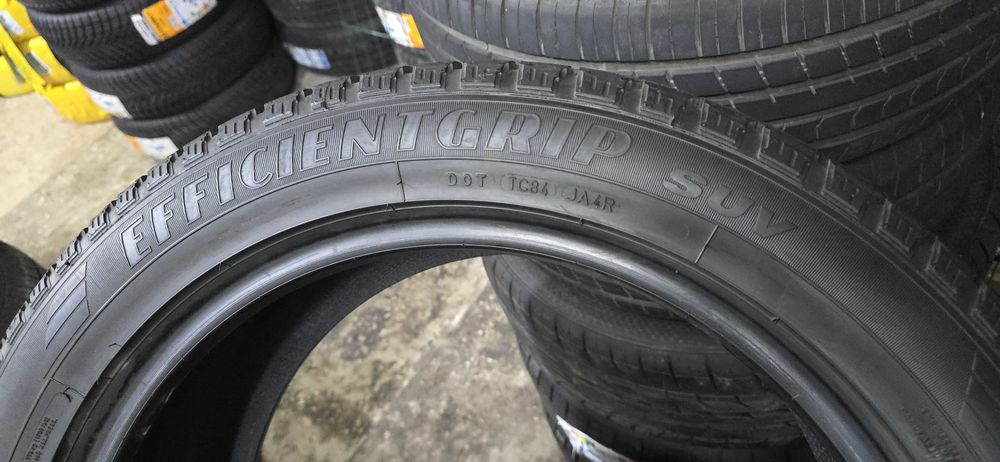 equinox goodyear r19