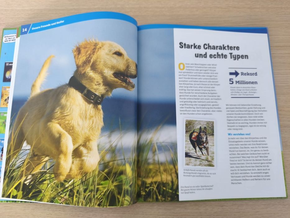 Cartebin germana deapre caini