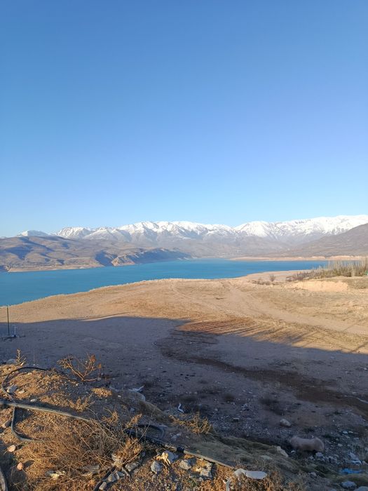 Damas xizmati zakazga yuramiz xizmatlar  boʻsa 24.7