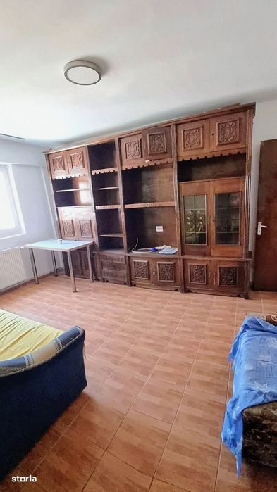 Teiul Doamnei, Parc Tei & Plumbuita, renovat, reabilitat, debara, 1% — fotografia 3