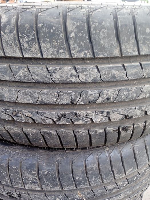 19 BYD  zavodiskoy baloni