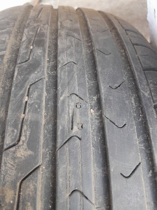 Летняя  резина. Кардиант