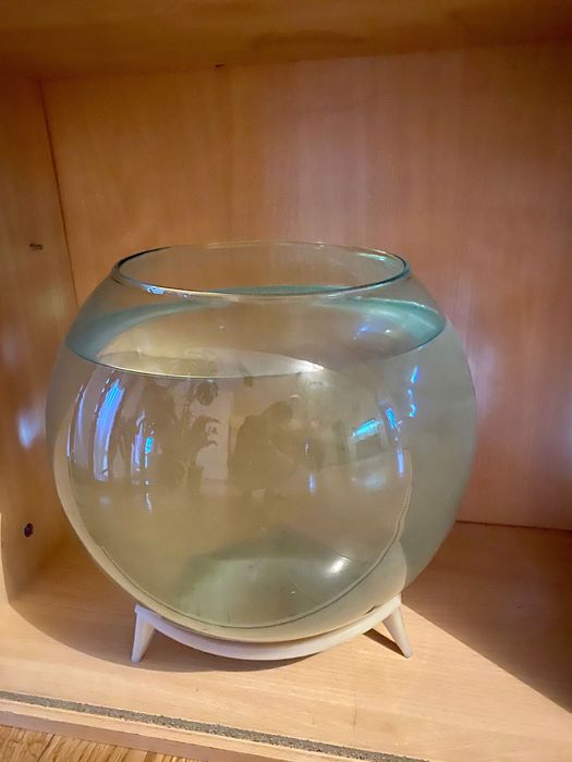 Аквариум для дома