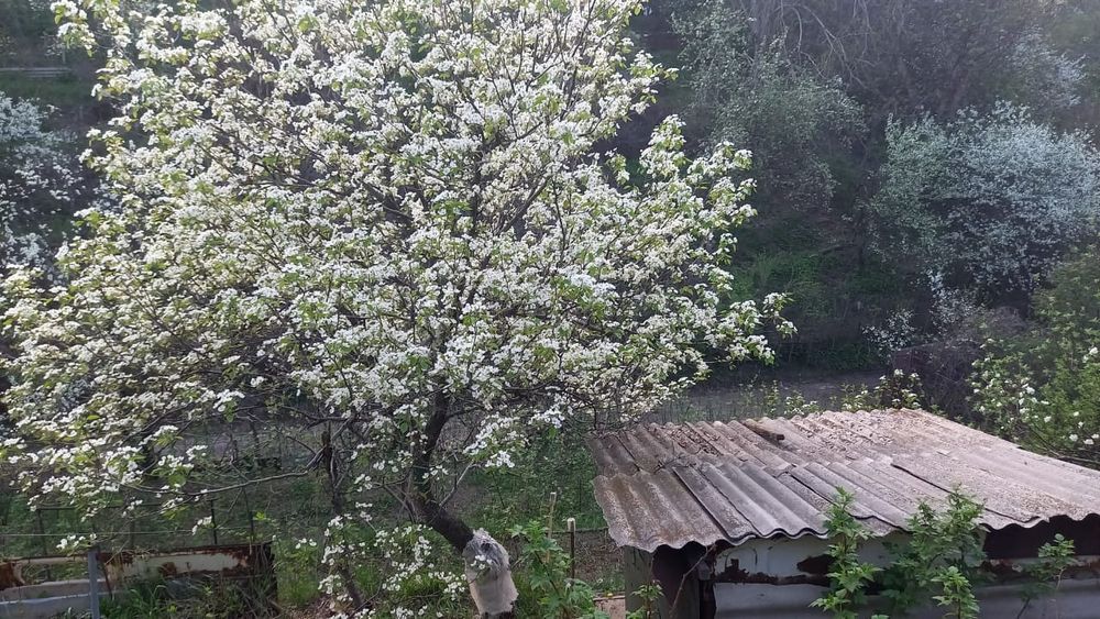 Продам дачу кенсай