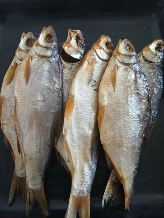 Рыбец кепкен балғын