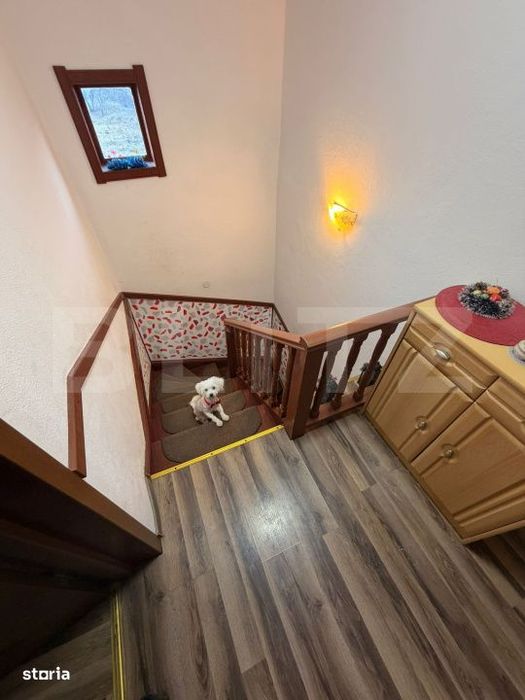 Casa multifunctioanala  100 mp utili, 2000 mp teren, Sadova - Bucovina
