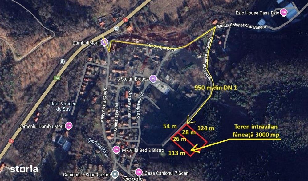 Teren intravilan, 3000 mp, Dâmbu Morii