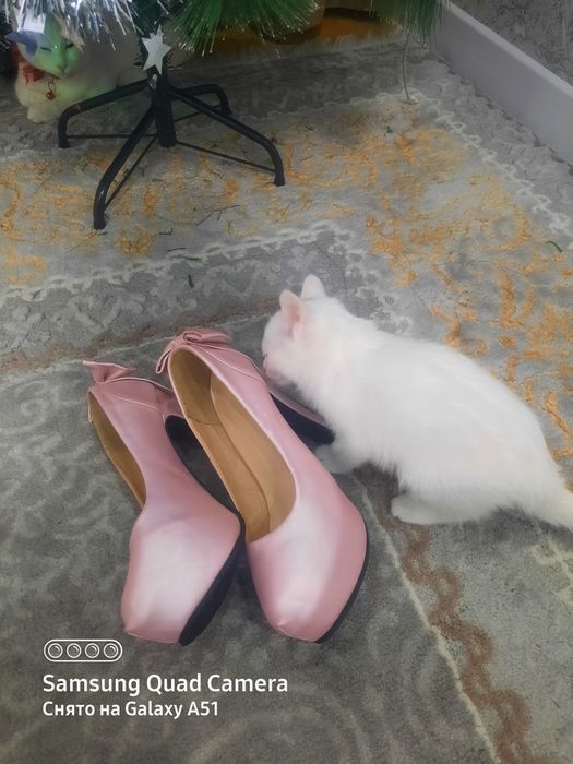 Стильные Туфли новые !!!