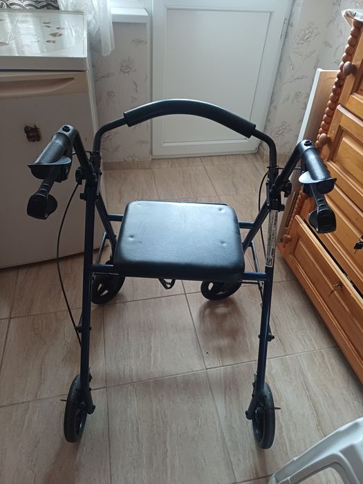 Количка проходилка