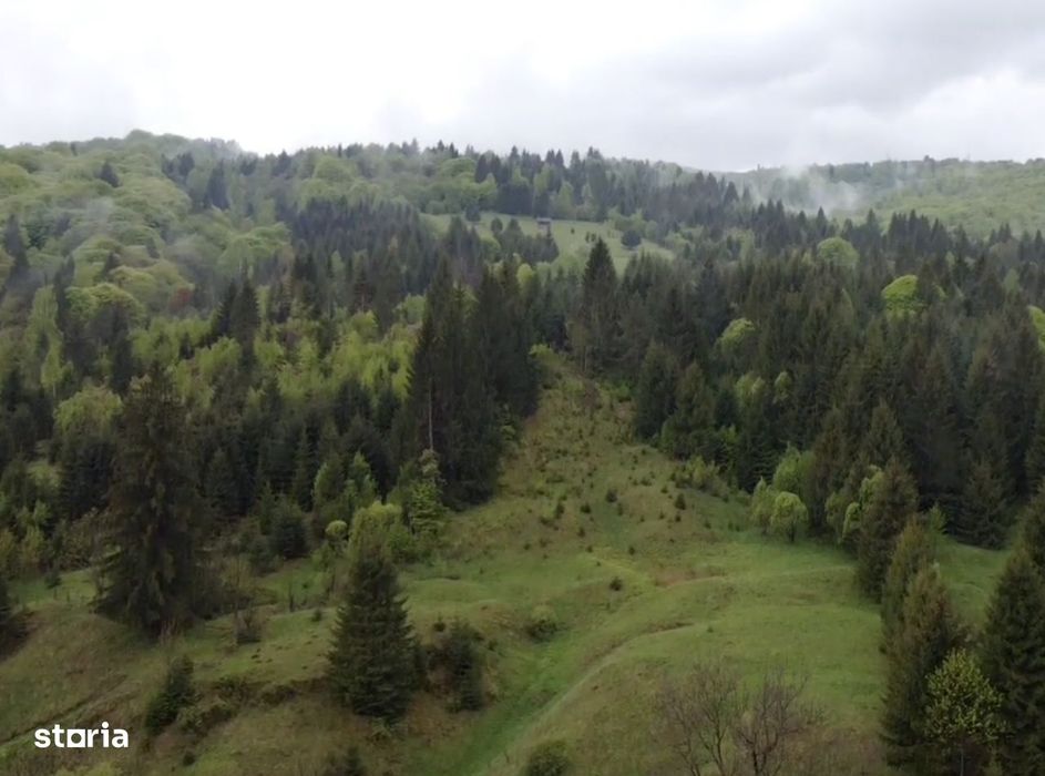 Teren intravilan 7.228 mp cu construcții, Sătic-Rucăr, Argeș