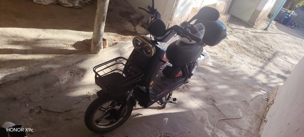 Эликтраскутир мрд