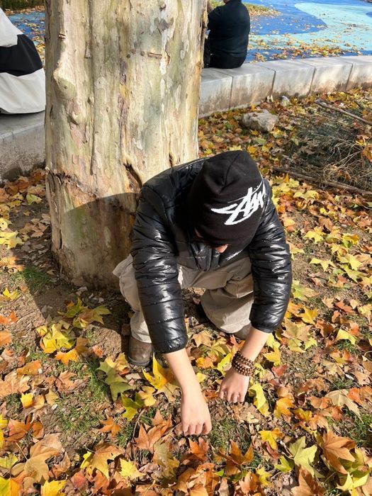 Stussy hat (шапка)