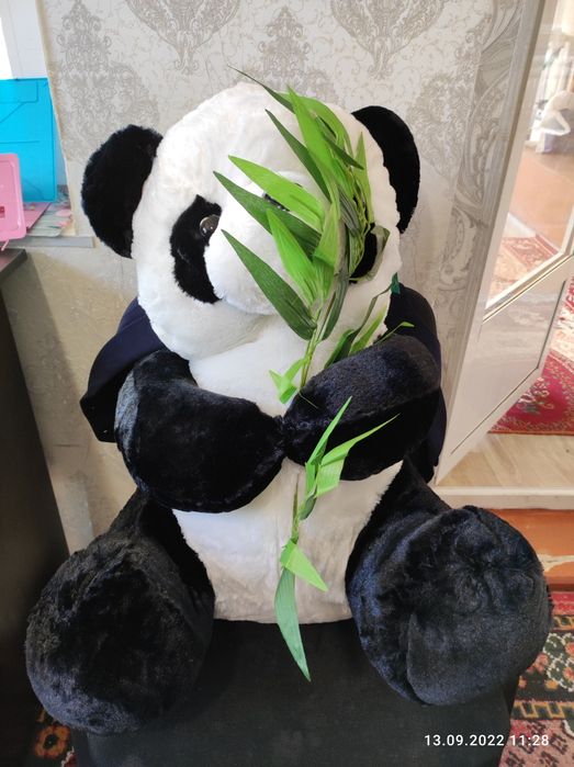 Panda bear. Панда