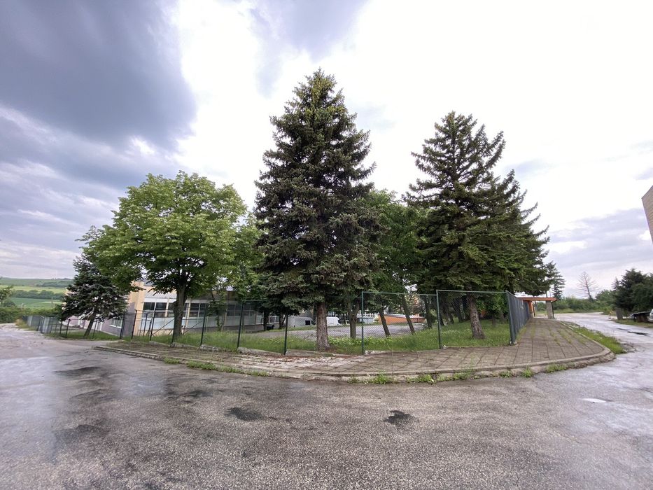 Дава се под наем Склад в Сливница - 800 кв.м за 1958.4 € - Снимка #3