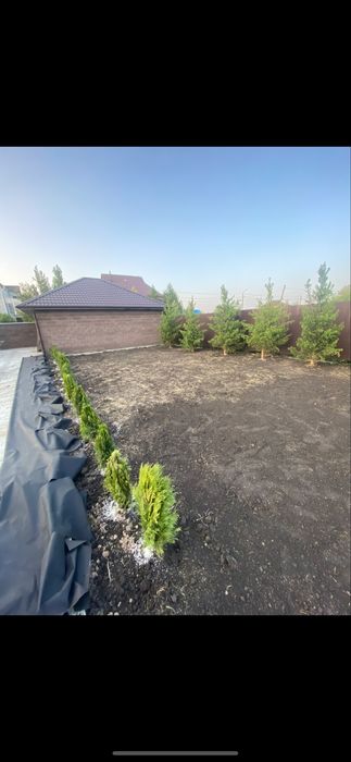 Газон зеленый сочный газон