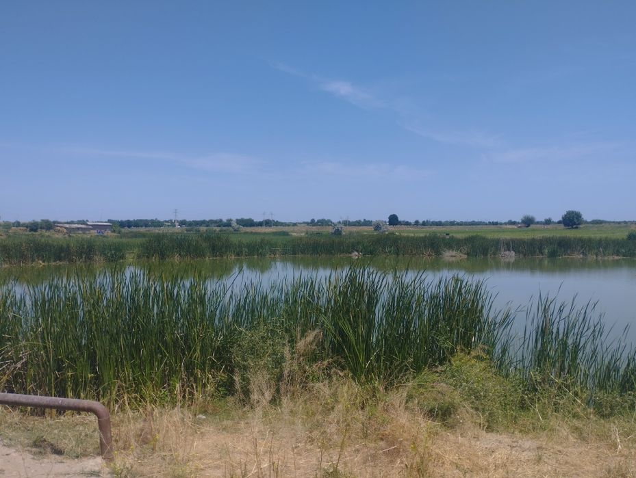 Аренда рыбхоз, готовый бизнес