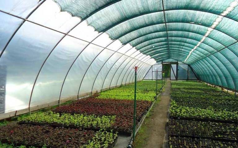 Засенчваща мрежа за оранжерия