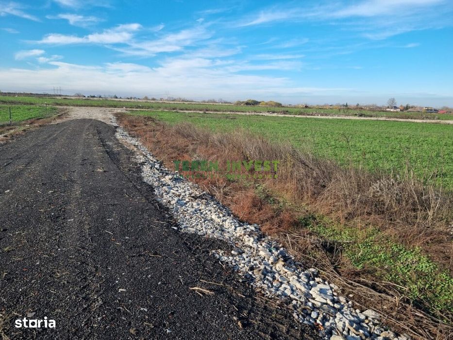 DN4 Popești -Frumușani -  Vânzare teren 500 mp